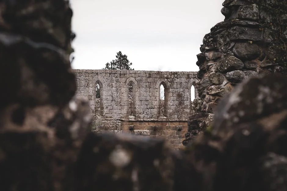 Lire la suite à propos de l’article Abbaye de Déols : pourquoi sa ruine est un scandale