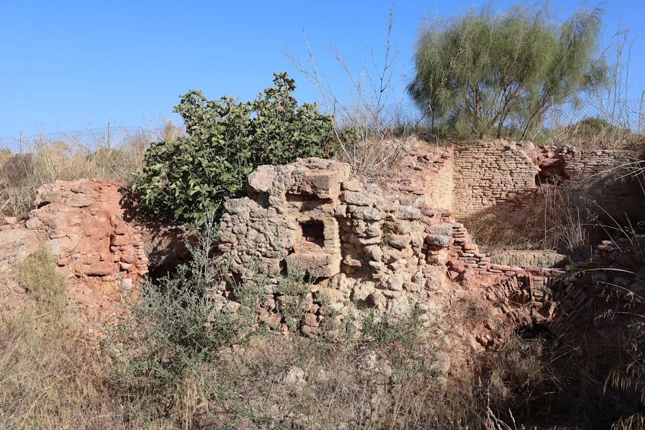 Site de conservation d'une ruine historique — chantier patrimonial